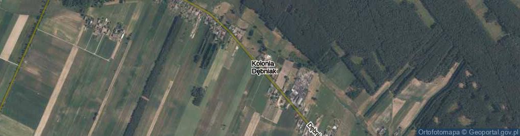 Zdjęcie satelitarne Kolonia Dębniak ul.